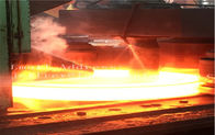 Anelli/norma rotolati forgiati caldi 1,4401 di BACCANO della manica acciaio inossidabile