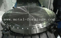 Max3000mm Disco forgiato in acciaio inossidabile o in acciaio al carbonio o in acciaio legato